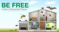 Residential Pest Control Brisbane image 5